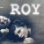 Roy Movie Review