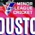 Minor League Cricket Matches at Houston Cricket Festival in Moosa Stadium